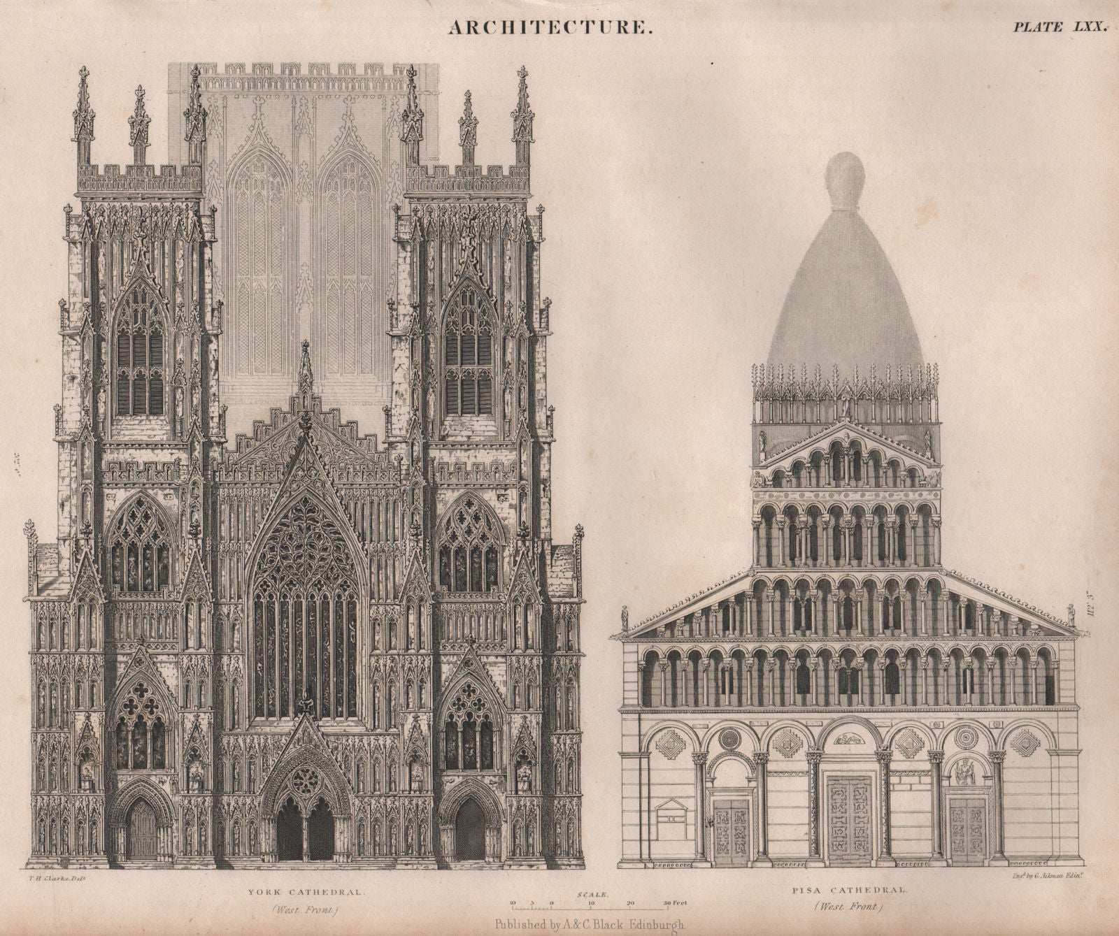 Architecture. York Cathedral & Pisa Cathedral, west fronts. BRITANNICA 1860